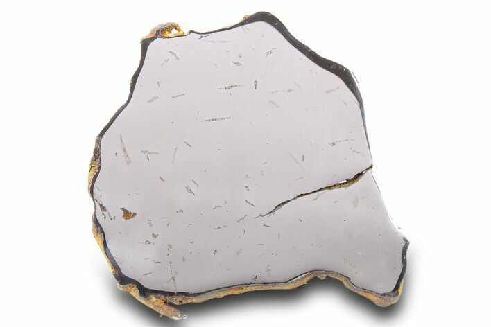 Gebel Kamil Iron Meteorite Slice ( g) - Egypt #284534